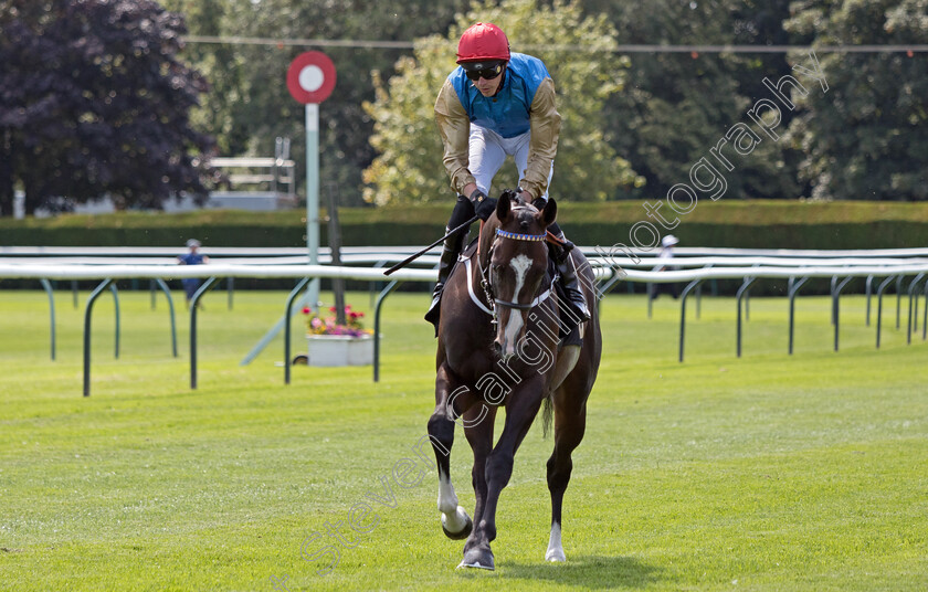 Veydari-0001 
 VEYDARI (James Doyle)
Nottingham 19 Jul 2024 - Pic Steven Cargill / Megan Dent / Racingfotos.com