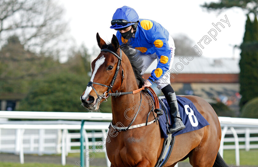 Miss-Bella-Brand-0001 
 MISS BELLA BRAND (P J McDonald)
Lingfield 27 Feb 2021 - Pic Steven Cargill / Racingfotos.com