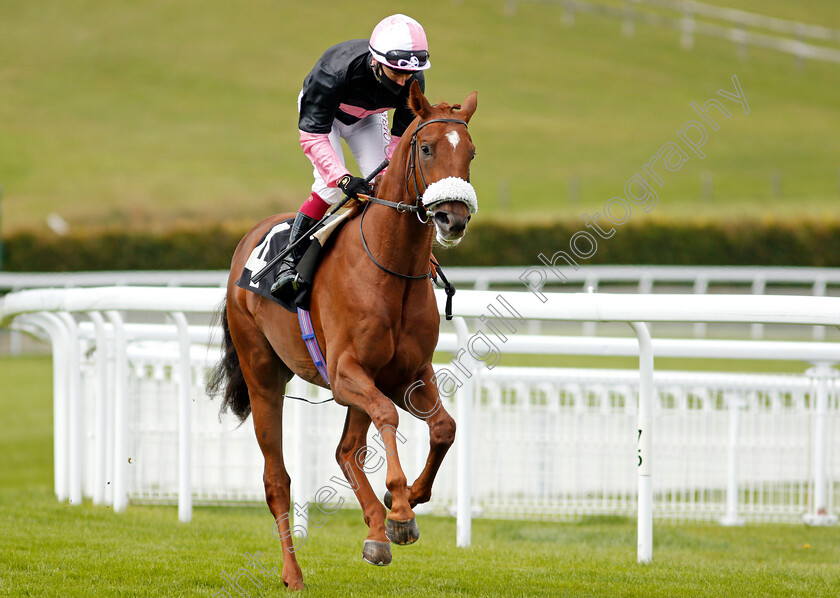 Classic-Lord-0002 
 CLASSIC LORD (Oisin Murphy) winner of The Ladbrokes Watch Racing Online For Free Maiden Auction Stakes
Goodwood 30 Aug 2020 - Pic Steven Cargill / Racingfotos.com