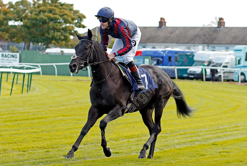 Society-Prince-0001 
 SOCIETY PRINCE (Tom Queally) Yarmouth 19 Sep 2017 - Pic Steven Cargill / Racingfotos.com