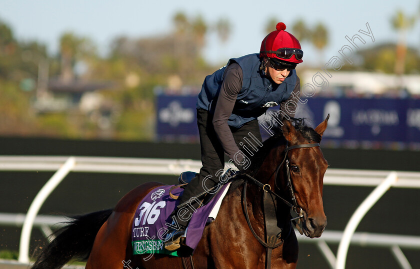 Wingspan-0001 
 WINGSPAN training for the Breeders' Cup Turf
Del Mar USA 31 Oct 2024 - Pic Steven Cargill / Racingfotos.com