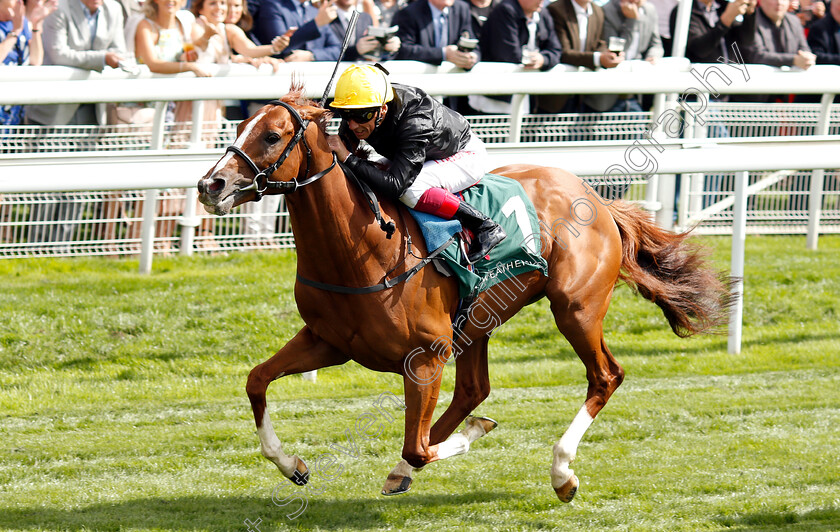 Stradivarius-0008 
 STRADIVARIUS (Frankie Dettori) wins The Weatherbys Hamilton Lonsdale Cup
York 24 Aug 2018 - Pic Steven Cargill / Racingfotos.com