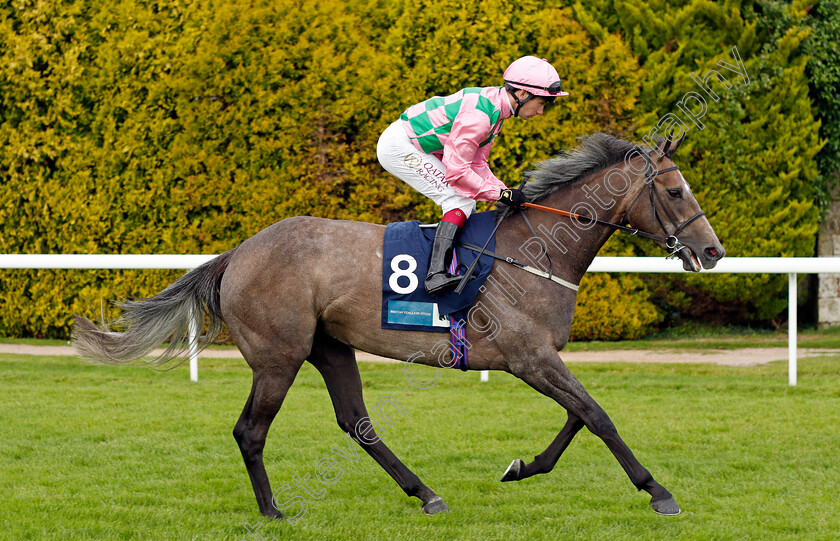 Technique-0001 
 TECHNIQUE (Oisin Murphy)
Salisbury 11 Aug 2021 - Pic Steven Cargill / Racingfotos.com