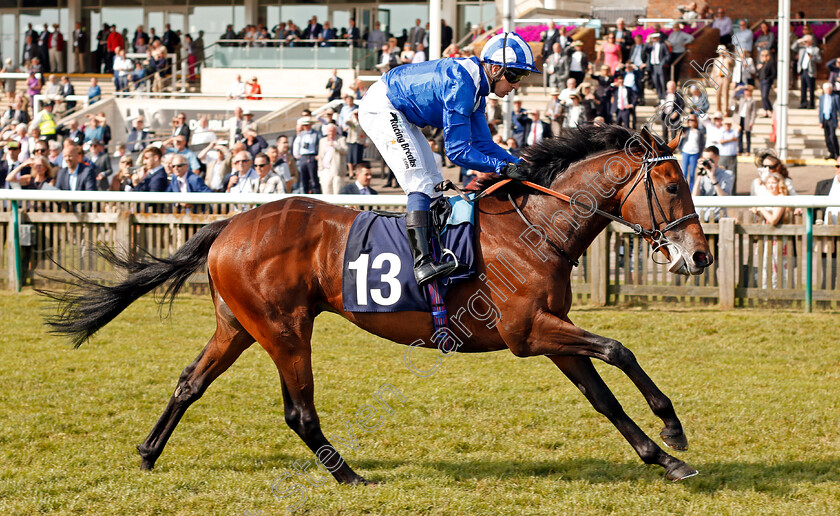 Wadilsafa-0007 
 WADILSAFA (Jim Crowley) wins The Pegasus Profiles Flying Horse Novice Stakes Newmarket 18 May 2018 - Pic Steven Cargill / Racingfotos.com