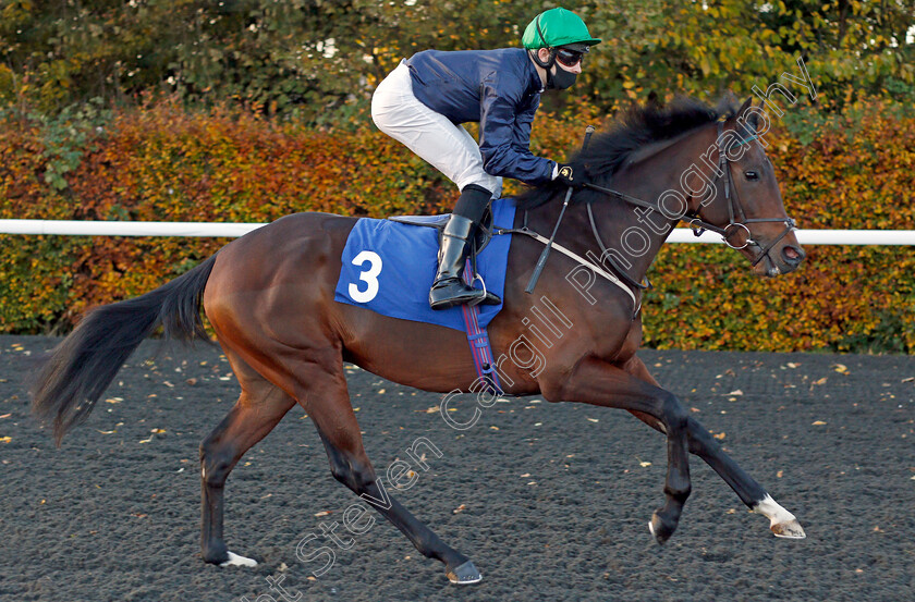 Coldstream-0001 
 COLDSTREAM (Charles Bishop)
Kempton 2 Nov 2020 - Pic Steven Cargill / Racingfotos.com