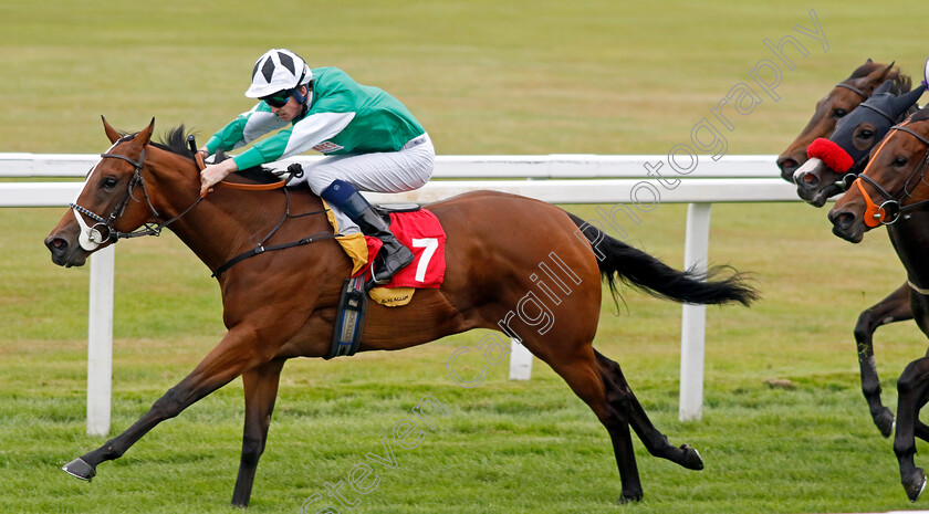 Pearl-Of-Windsor-0001 
 PEARL OF WINDSOR (Darragh Keenan) wins The British Stallion Studs EBF Maiden Stakes
Sandown 8 Aug 2024 - Pic Steven Cargill / Racingfotos.com