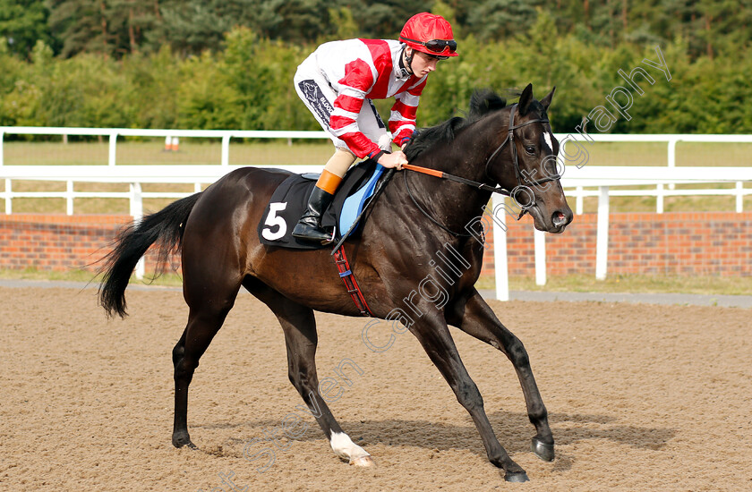 Alhram-0001 
 ALHRAM (David Egan)
Chelmsford 13 Jun 2018 - Pic Steven Cargill / Racingfotos.com