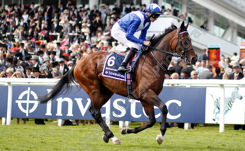 Humanitarian-0001 
 HUMANITARIAN (Robert Havlin)
Epsom 1 Jun 2019 - Pic Steven Cargill / Racingfotos.com