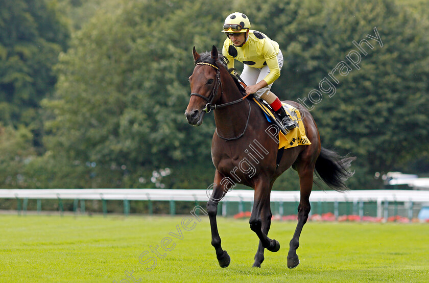 Praiano-0001 
 PRAIANO (Andrea Atzeni)
Haydock 4 Sep 2021 - Pic Steven Cargill / Racingfotos.com