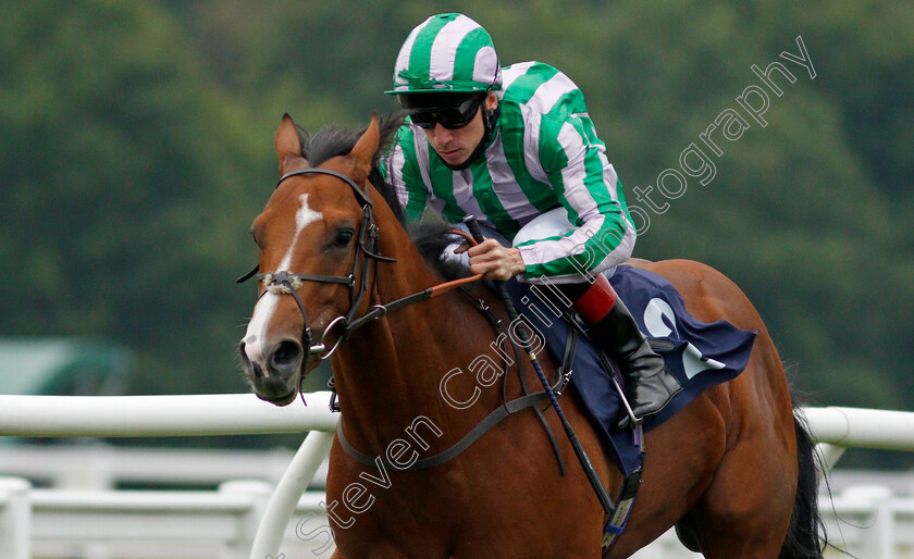 Balavad-0006 
 BALAVAD (Shane Kelly) wins The Betway Nursery
Lingfield 14 Aug 2020 - Pic Steven Cargill / Racingfotos.com