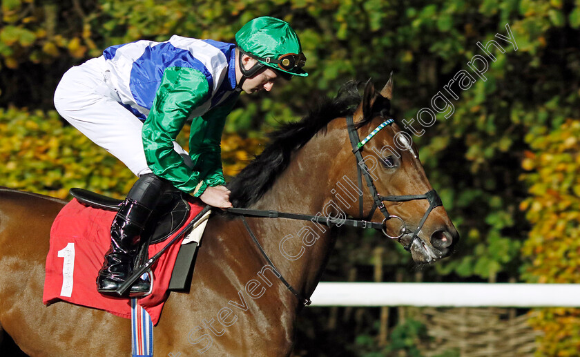 Brewing-0002 
 BREWING (Adam Farragher) winner of The Unibet Extra Place Offers Every Day Novice Stakes
Kempton 16 Nov 2022 - Pic Steven Cargill / Racingfotos.com