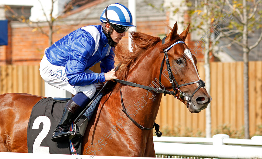 Haajoos-0001 
 HAAJOOS (Jim Crowley)
Newbury 18 Sep 2020 - Pic Steven Cargill / Racingfotos.com