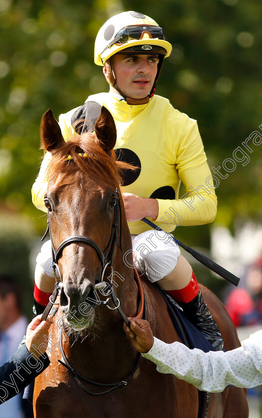 Prince-Eiji-0011 
 PRINCE EIJI (Andrea Atzeni) after The Charbonnel Et Walker British EBF Maiden Stakes
Ascot 7 Sep 2018 - Pic Steven Cargill / Racingfotos.com