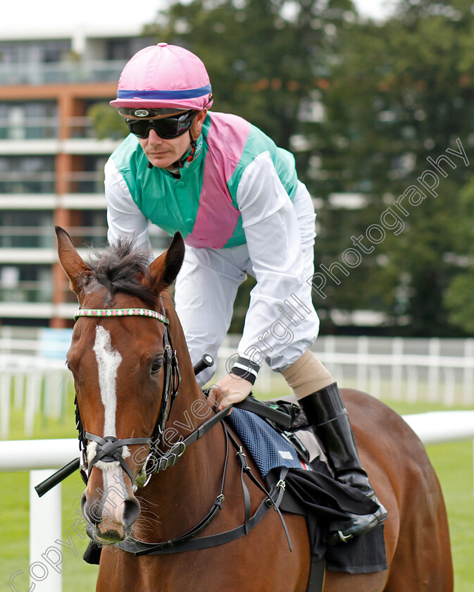 Pluperfect-0001 
 PLUPERFECT (Kieran O'Neill)
Newbury 13 Aug 2021 - Pic Steven Cargill / Racingfotos.com