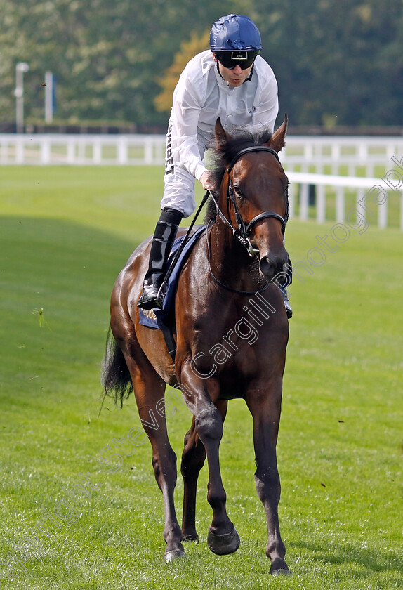 Wootton s-Jewel-0001 
 WOOTTON'S JEWEL (Jamie Spencer)
Ascot 8 Sep 2023 - Pic Steven Cargill / Racingfotos.com