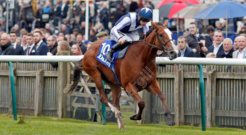 Feliciana-De-Vega-0002 
 FELICIANA DE VEGA (Harry Bentley) wins The Darley Stakes
Newmarket 12 Oct 2019 - Pic Steven Cargill / Racingfotos.com