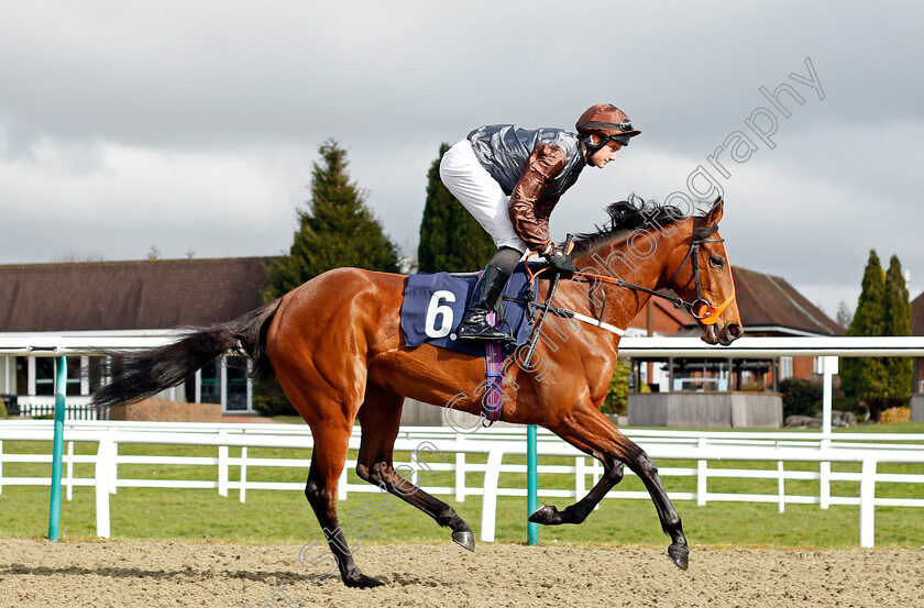 Cicely 
 CICELY (Oliver Stammers)
Lingfield 9 Mar 2022 - Pic Steven Cargill / Racingfotos.com