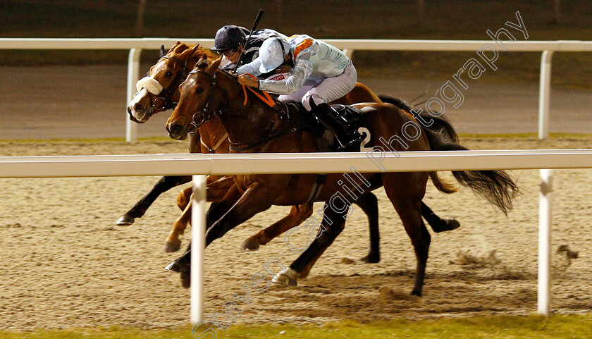 Red-Bond-0001 
 RED BOND (Sean Levey) wins The Bet totetrifecta At totesport.com Handicap
Chelmsford 21 Feb 2019 - Pic Steven Cargill / Racingfotos.com