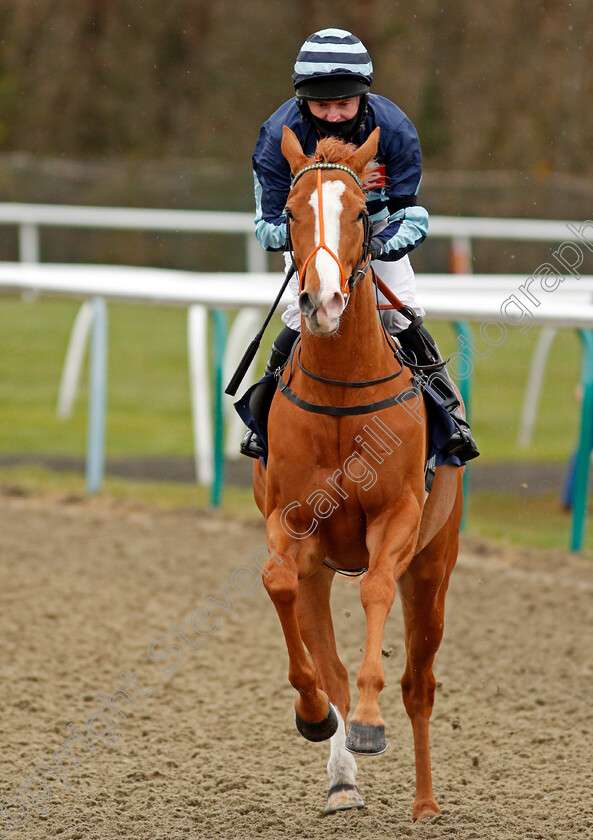 Friendly-Princess-0001 
 FRIENDLY PRINCESS (Liam Keniry)
Lingfield 26 Mar 2021 - Pic Steven Cargill / Racingfotos.com