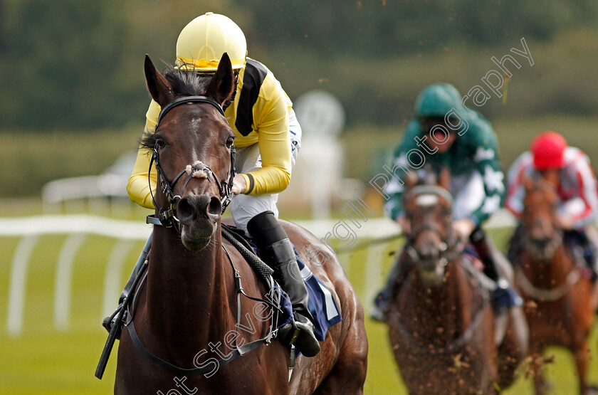 Myseven-0009 
 MYSEVEN (Pat Cosgrave) wins The Betway Novice Stakes
Lingfield 2 Sep 2020 - Pic Steven Cargill / Racingfotos.com