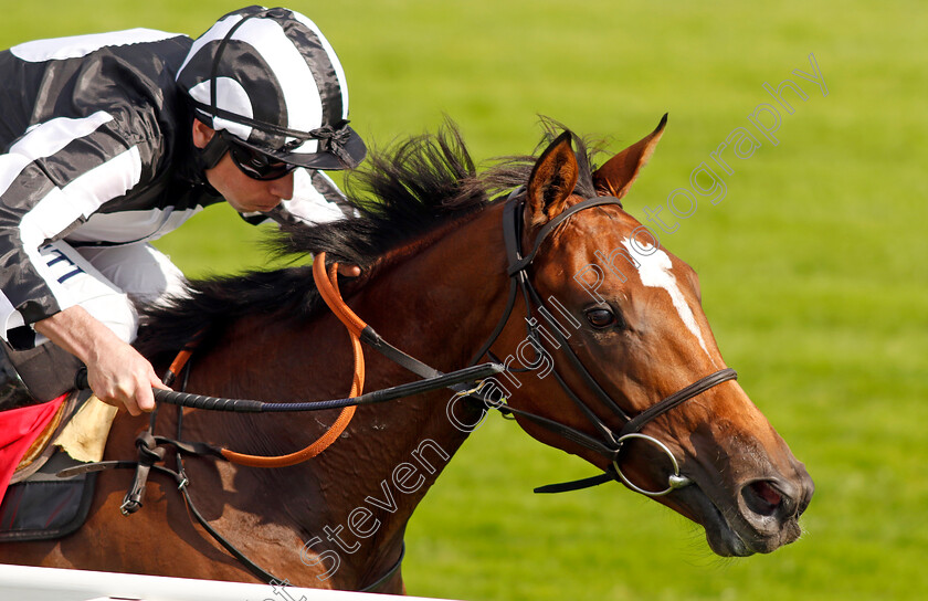 Classical-Song-0001 
 CLASSICAL SONG (Ryan Moore) wins The Virgin Bet Maiden Fillies Stakes
Sandown 2 Sep 2023 - Pic Steven Cargill / Racingfotos.com