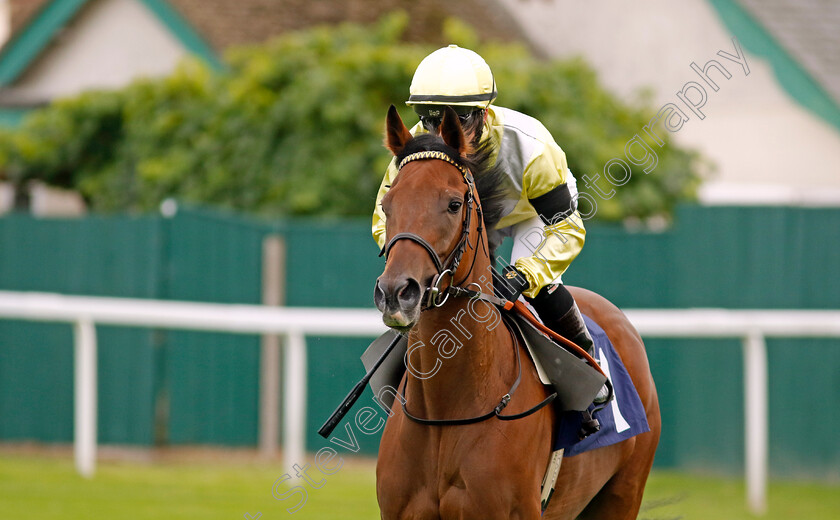 Romantic-Time-0001 
 ROMANTIC TIME (Hollie Doyle)
Yarmouth 13 Sep 2022 - Pic Steven Cargill / Racingfotos.com