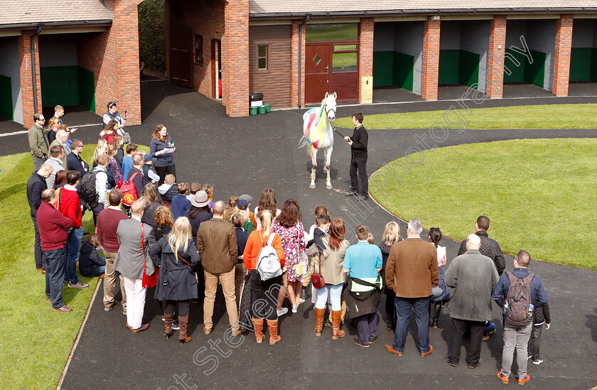 Junior-Jumpers-0005 
 Junior Jumpers tour
Cheltenham 18 Apr 2019 - Pic Steven Cargill / Racingfotos.com