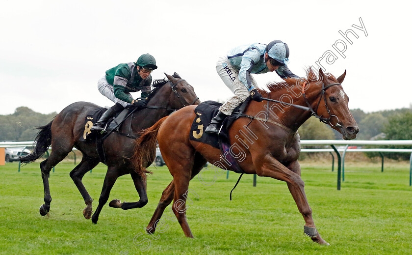 Stressfree-0004 
 STRESSFREE (Jason Watson) wins The Trustatrader Approved And Reviewed Trades People Handicap
Nottingham 11 Oct 2023 - Pic Steven Cargill / Racingfotos.com