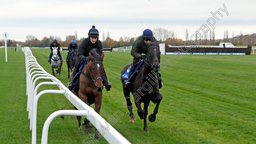 Ashtown-Lad-and-My-Drogo-0002 
 ASHTOWN LAD (left, Bridget Andrews) with MY DROGO (right, Harry Skelton) 
Coral Gold Cup Gallops Morning
Newbury 21 Nov 2023 - Pic Steven Cargill / Racingfotos.com