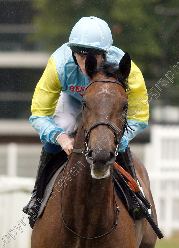 Qamka-0001 
 QAMKA (David Egan) before winning The Crossland British EBF Fillies Novice Stakes
Newbury 13 Jun 2019 - Pic Steven Cargill / Racingfotos.com