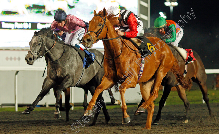 Harry s-Bar-0003 
 HARRY'S BAR (Tom Marquand) beats LETHAL LUNCH (left) in The 32Red.com Handicap
Kempton 4 Dec 2019 - Pic Steven Cargill / Racingfotos.com