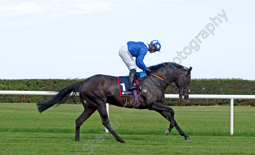 Alflaila-0001 
 ALFLAILA (Jim Crowley)
Leopardstown 9 Sep 2023 - Pic Steven Cargill / Racingfotos.com