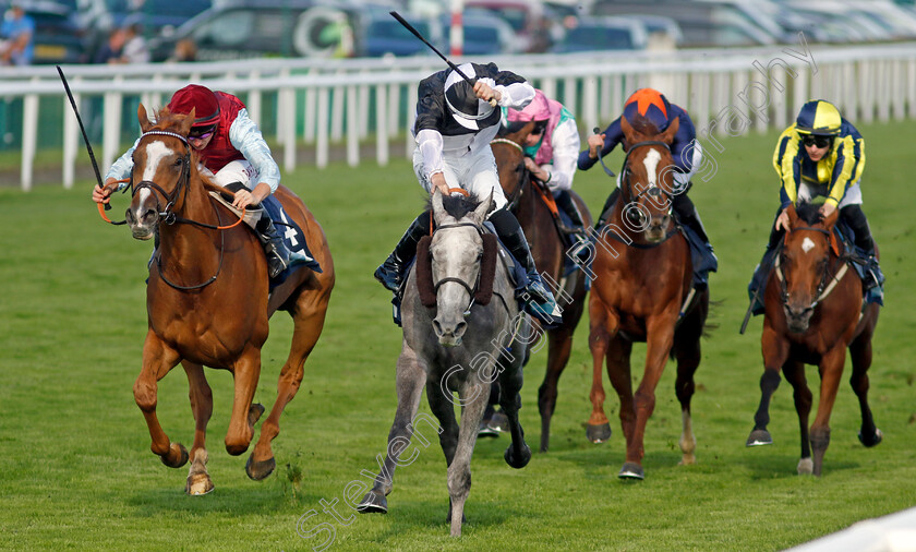 Mistressofillusion-0002 
 MISTRESSOFILLUSION (right, Rossa Ryan) beats QUEEN EMMA (left) in The British EBF Ruby Anniversary Premier Fillies Handicap
Doncaster 15 Sep 2023 - Pic Steven Cargill / Racingfotos.com