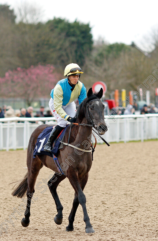 Tarbat-Ness-0001 
 TARBAT NESS (Faye McManoman)
Wolverhampton 12 Mar 2022 - Pic Steven Cargill / Racingfotos.com