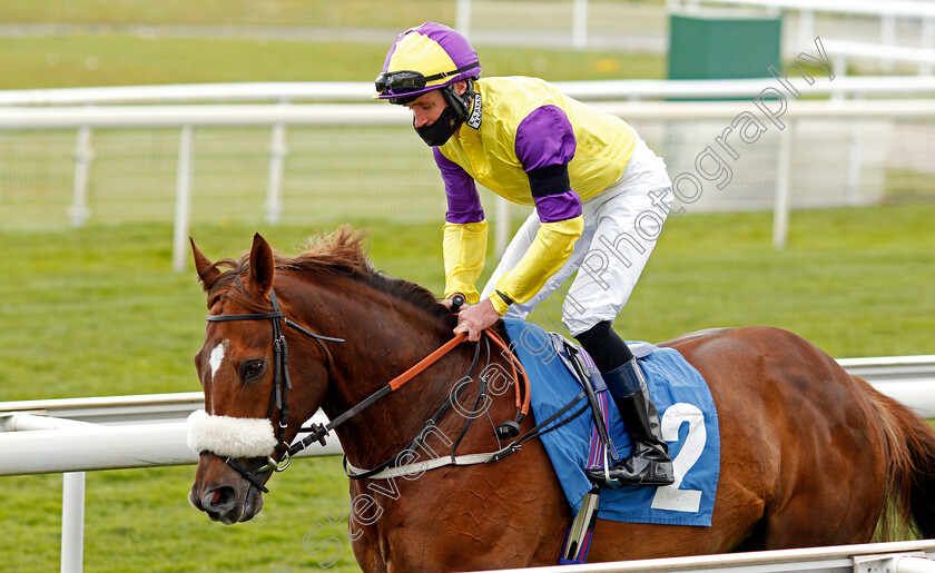 Brando-0001 
 BRANDO (Tom Eaves)
York 12 May 2021 - Pic Steven Cargill / Racingfotos.com