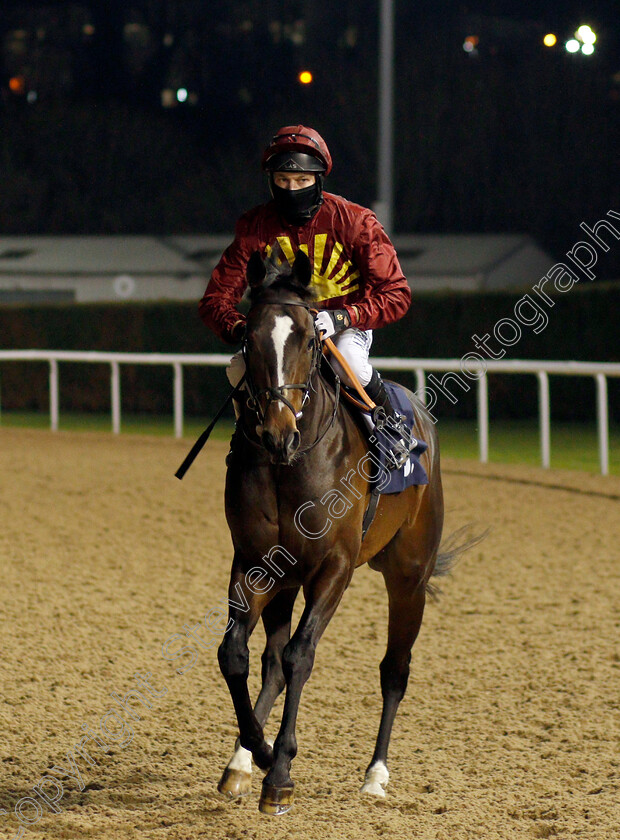 The-Thunderer-0001 
 THE THUNDERER (Luke Morris)
Wolverhampton 18 Jan 2021 - Pic Steven Cargill / Racingfotos.com