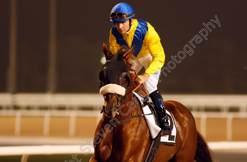 Saltarin-Dubai-0001 
 SALTARIN DUBAI (Richard Mullen) Meydan 25 Jan 2018 - Pic Steven Cargill / Racingfotos.com