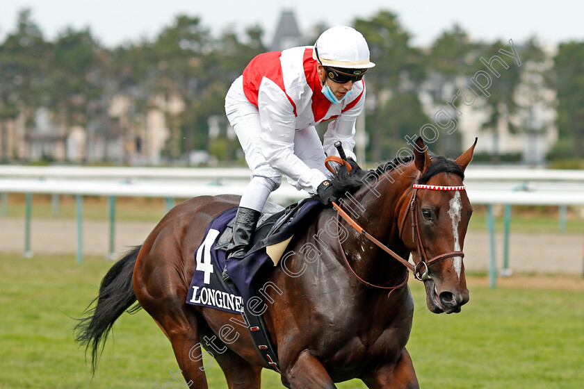 Port-Guillaume-0003 
 PORT GUILLAUME (C Demuro) before winning The Prix Hocquart
Deauville 8 Aug 2020 - Pic Steven Cargill / Racingfotos.com