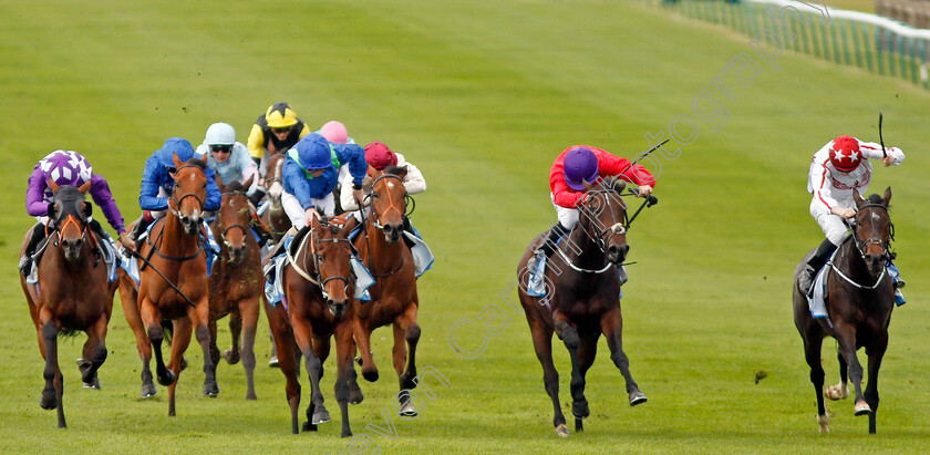 Rose-Of-Kildare-0001 
 ROSE OF KILDARE (2nd left, Joe Fanning) beats SEPARATE (left) VALERIA MESSALINA (2nd right) and NOPE (right) in The Godolphin Lifetime Care Oh So Sharp Stakes
Newmarket 11 Oct 2019 - Pic Steven Cargill / Racingfotos.com