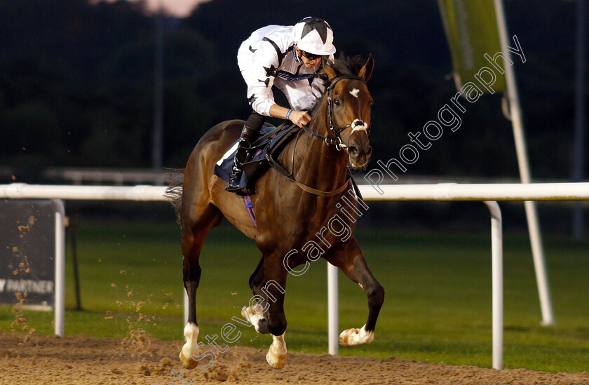 Thunderbolt-Rocks-0005 
 THUNDERBOLT ROCKS (James Doyle) wins The Hellermanntyton Identification Handicap
Wolverhampton 5 Sep 2018 - Pic Steven Cargill / Racingfotos.com