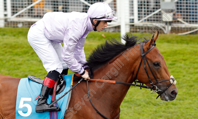 King-Ottokar-0003 
 KING OTTOKAR (Ben Curtis)
Chester 8 May 2019 - Pic Steven Cargill / Racingfotos.com