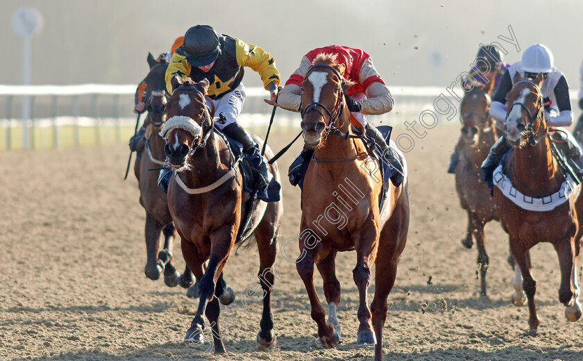 Torochica-0003 
 TOROCHICA (right, Charles Bishop) beats OSLO (left) in The Betway Casino Handicap
Lingfield 9 Jan 2021 - Pic Steven Cargill / Racingfotos.com