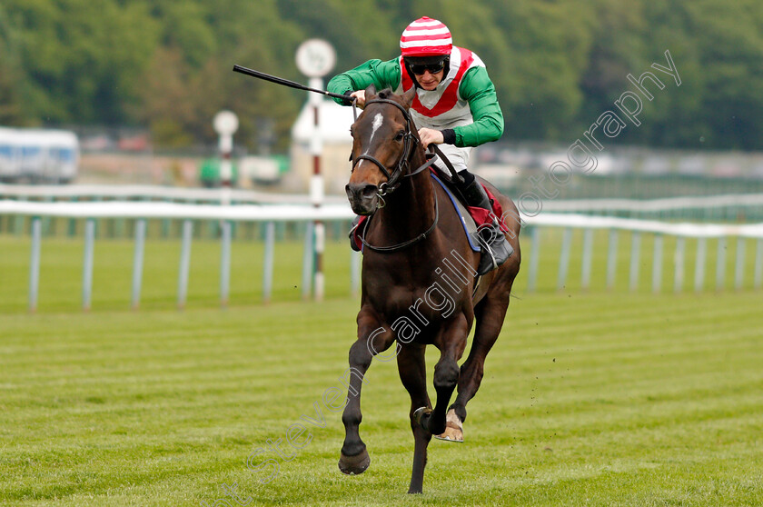 Elhafei-0002 
 ELHAFEI (Bradley Roberts) wins The Plank Lane Amateur Jockeys Handicap
Haydock 28 May 2021 - Pic Steven Cargill / Racingfotos.com