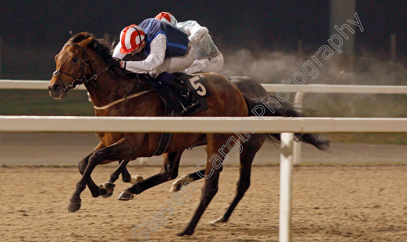 Fortune-Finder-0002 
 FORTUNE FINDER (Hector Crouch) wins The tote.co.uk Now Never Beaten By SP Handicap Div2
Chelmsford 27 Nov 2020 - Pic Steven Cargill / Racingfotos.com