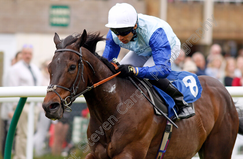 New-Kings-Road-0001 
 NEW KINGS ROAD (Sean Levey) wins The Laflins Barbers Confined Handicap
Salisbury 16 Jun 2024 - pic Steven Cargill / Racingfotos.com