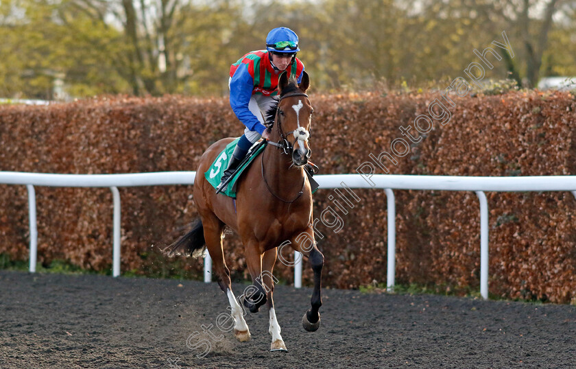 Dashing-Willie-0001 
 DASHING WILLIE (Darragh Keenan)
Kempton 3 Apr 2024 - Pic Steven Cargill / Racingfotos.com