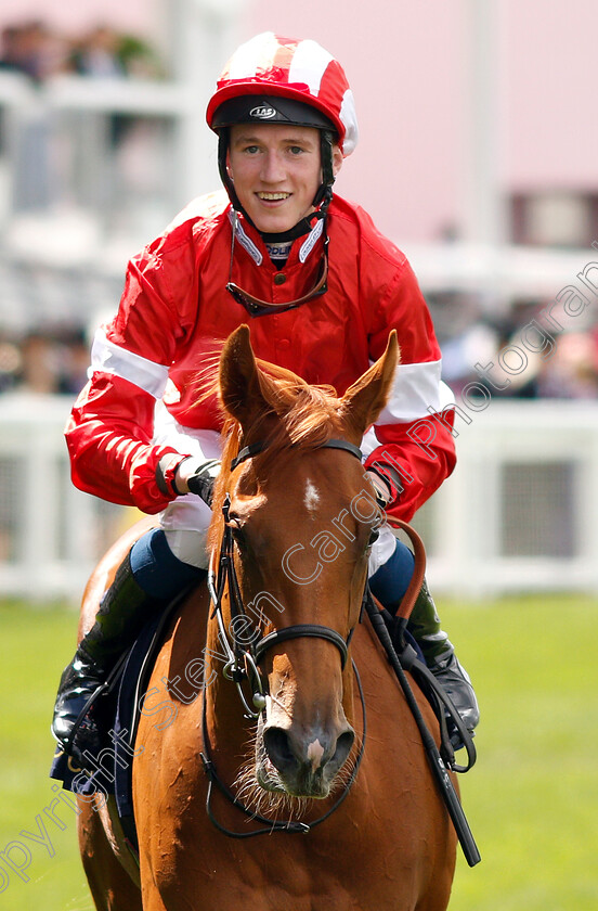 Daahyeh-0010 
 DAAHYEH (David Egan) after The Albany Stakes
Royal Ascot 21 Jun 2019 - Pic Steven Cargill / Racingfotos.com