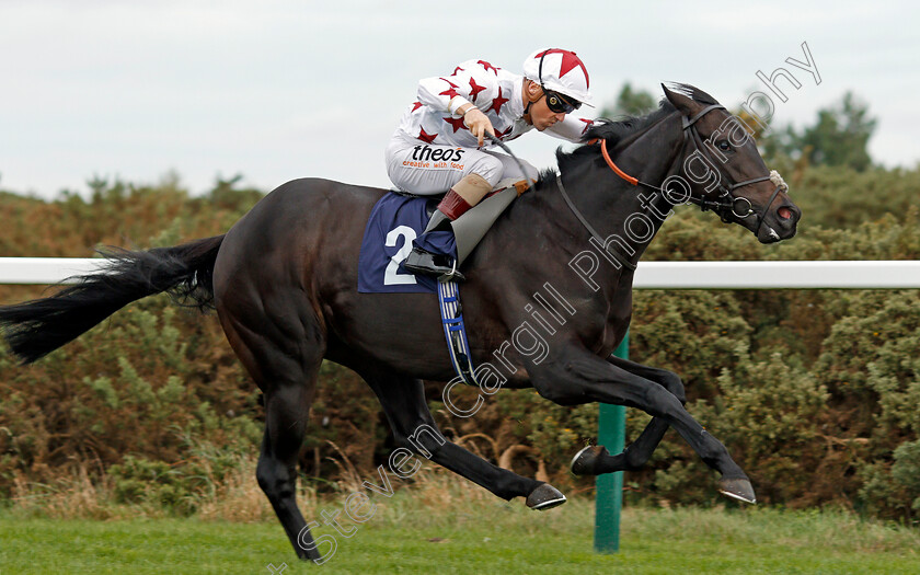 Hajaam-0006 
 HAJAAM (Stevie Donohoe) wins The Philip Southgate Socks & Sandals Handicap Yarmouth 24 Oct 2017 - Pic Steven Cargill / Racingfotos.com