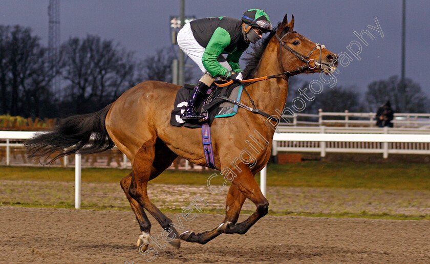 Power-Over-Me-0001 
 POWER OVER ME (Kieran O'Neill) winner of The tote Placepot Your First Bet Median Auction Maiden Stakes
Chelmsford 14 Jan 2021 - Pic Steven Cargill / Racingfotos.com