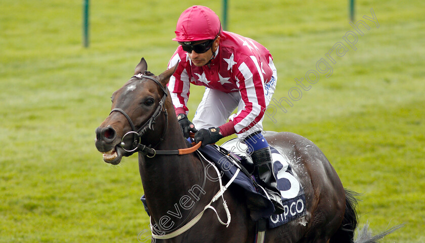 Baghdad-0004 
 BAGHDAD (Silvestre De Sousa) wins The Qatar Racing Handicap
Newmarket 5 May 2019 - Pic Steven Cargill / Racingfotos.com